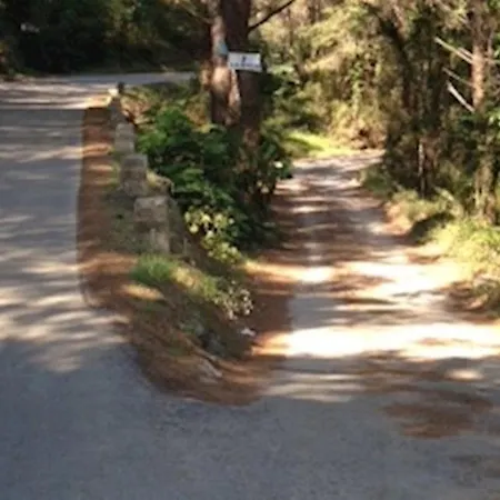 In 26422 Mali Lošinj