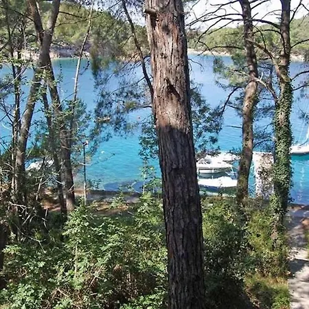 In 26422 Mali Lošinj